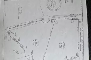 Lot B New Life Dr, Ruckersville, VA 22968 - Photo 1