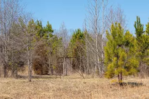 0 Central Plains Rd, Palmyra, VA 22963 - Photo 11