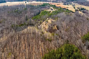 0 Central Plains Rd, Palmyra, VA 22963 - Photo 17