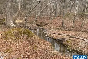 0 Central Plains Rd, Palmyra, VA 22963 - Photo 5