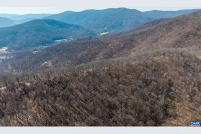 1376D Wyatt Mountain Rd, Dyke, VA 22935 - Photo 3