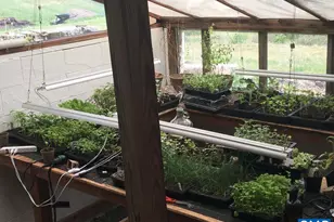 877 Holland Creek Rd, Louisa, VA 23093 - Photo 33