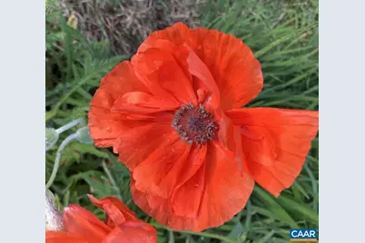 877 Holland Creek Rd, Louisa, VA 23093 - Photo 43