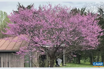 877 Holland Creek Rd, Louisa, VA 23093 - Photo 45