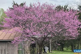 877 Holland Creek Rd, Louisa, VA 23093 - Photo 45