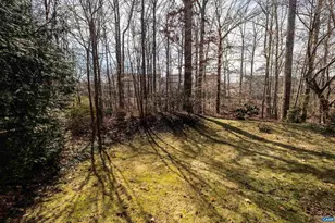 75 Cottage Ct, Zion Crossroads, VA 22942 - Photo 45