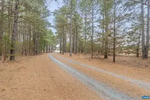 12048 Louisa Rd, Gordonsville, VA 22942 - Photo 3