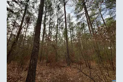 0 Green Spring Rd, Louisa, VA 22942 - Photo 17