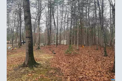 547 Forest Hill Rd, Gordonsville, VA 22942 - Photo 51