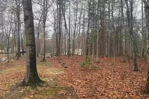 547 Forest Hill Rd, Gordonsville, VA 22942 - Photo 51