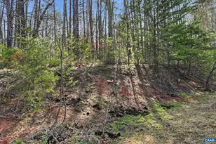 335 Cardinal Rd, Louisa, VA 23093 - Photo 43