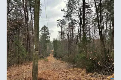 0 Elly Rd #50 81, Aroda, VA 22709 - Photo 9