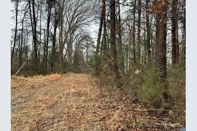 0 Elly Rd #50 81, Aroda, VA 22709 - Photo 13