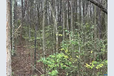 0 Elly Rd #50 81, Aroda, VA 22709 - Photo 15
