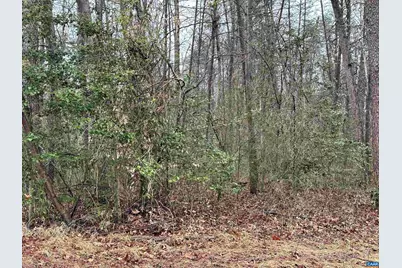 0 Elly Rd #50 81, Aroda, VA 22709 - Photo 11