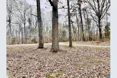 8955 Louisa Rd, Gordonsville, VA 22942 - Photo 19