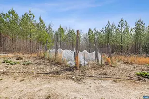 1340 Roundabout Rd, Louisa, VA 23093 - Photo 53