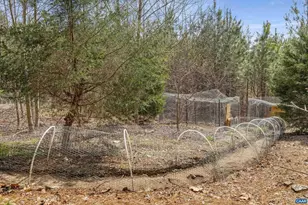 1340 Roundabout Rd, Louisa, VA 23093 - Photo 49