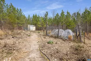 1340 Roundabout Rd, Louisa, VA 23093 - Photo 51