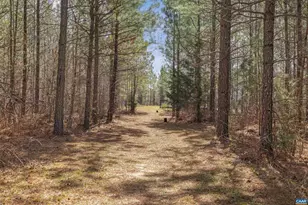 1340 Roundabout Rd, Louisa, VA 23093 - Photo 35