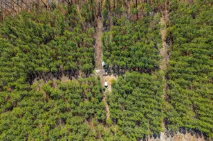 1340 Roundabout Rd, Louisa, VA 23093 - Photo 67