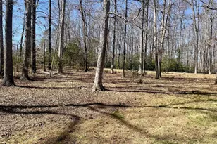 289 Community House Rd, Kents Store, VA 23084 - Photo 37