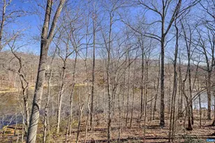 3 Nutwood Cir, Palmyra, VA 22963 - Photo 37