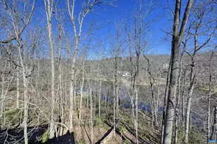 3 Nutwood Cir, Palmyra, VA 22963 - Photo 37
