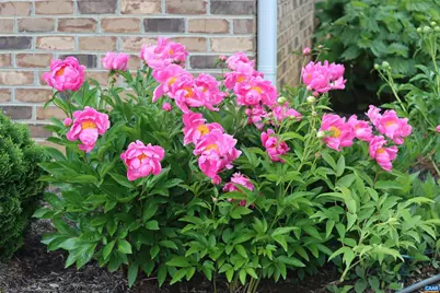 1185 Belle Meade Rd, Bumpass, VA 23024 - Photo 53