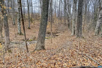 1185 Belle Meade Rd, Bumpass, VA 23024 - Photo 65