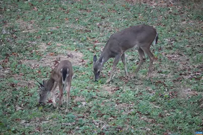 1185 Belle Meade Rd, Bumpass, VA 23024 - Photo 61
