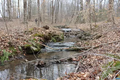 1185 Belle Meade Rd, Bumpass, VA 23024 - Photo 67