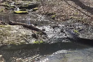 1185 Belle Meade Rd, Bumpass, VA 23024 - Photo 73