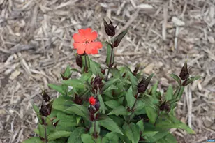 1185 Belle Meade Rd, Bumpass, VA 23024 - Photo 63