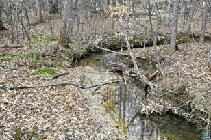 1185 Belle Meade Rd, Bumpass, VA 23024 - Photo 71