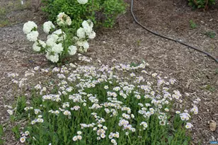 1185 Belle Meade Rd, Bumpass, VA 23024 - Photo 67