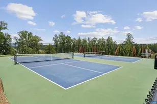 24 Diana Ct, Charlottesville, VA 22902 - Photo 43