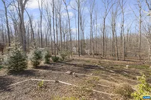 16 Brassie Terrace, Palmyra, VA 22963 - Photo 57