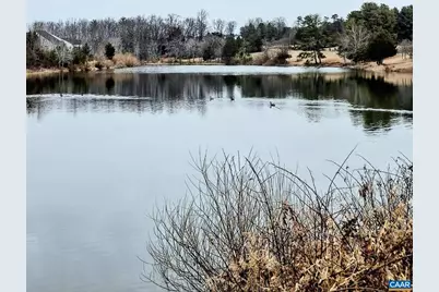 598 Mistland Trl, Ruckersville, VA 22968 - Photo 69