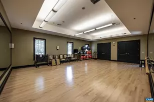 598 Mistland Trail, Ruckersville, VA 22968 - Photo 61