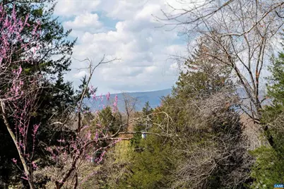 5343 Amicus Rd, Ruckersville, VA 22968 - Photo 47