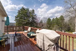 5343 Amicus Rd, Ruckersville, VA 22968 - Photo 47