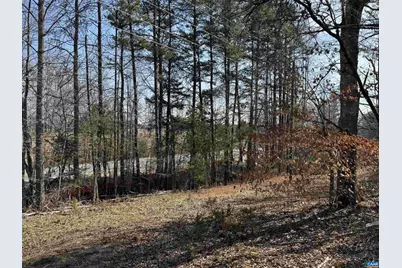 2301 Three Notch Rd, Kents Store, VA 23084 - Photo 5