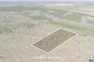 957 Gold Mine Rd, Palmyra, VA 22963 - Photo 11