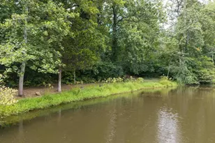 336 Bear Run Rd, Stanardsville, VA 22973 - Photo 59