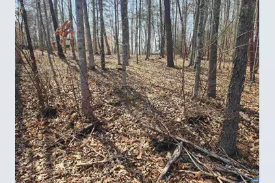 28 Jennings Dr, Palmyra, VA 22963 - Photo 3