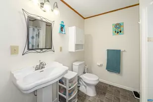 5 Iroquois Way, Palmyra, VA 22963 - Photo 47