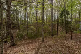 0 Turkeysag Trail, Palmyra, VA 22963 - Photo 1