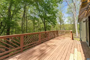 4 Nutwood Cir, Palmyra, VA 22963 - Photo 43