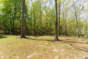 4 Nutwood Cir, Palmyra, VA 22963 - Photo 47